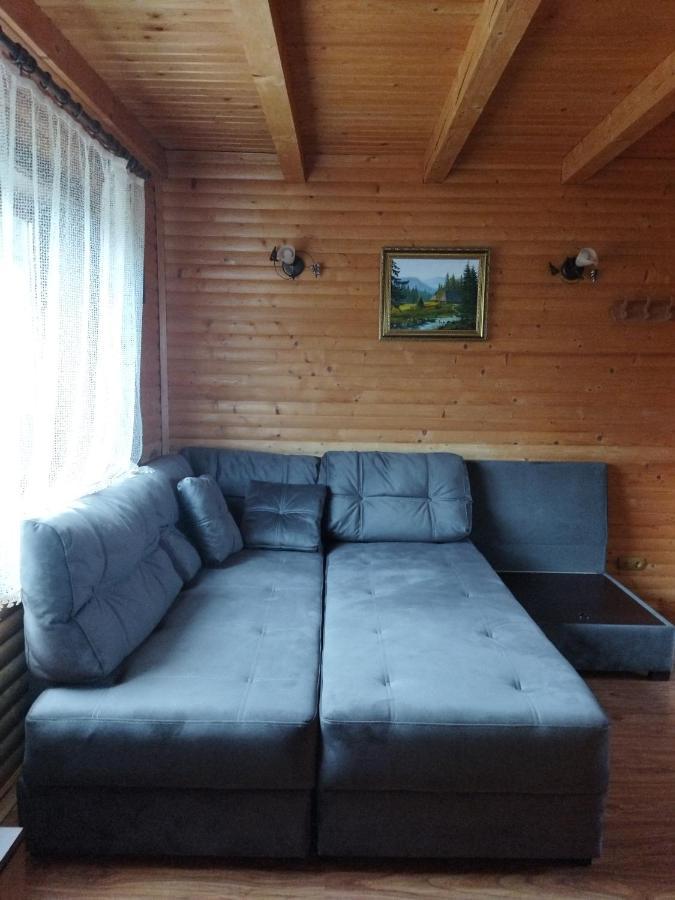 Willa Polonyna Wierchowina Zewnętrze zdjęcie
